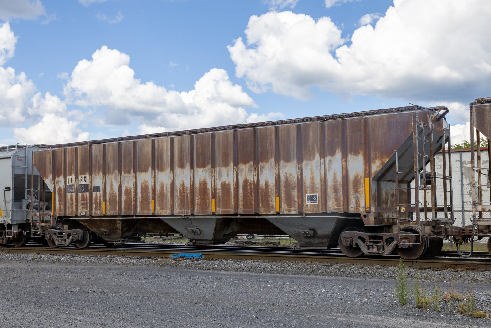 IFRX 84393