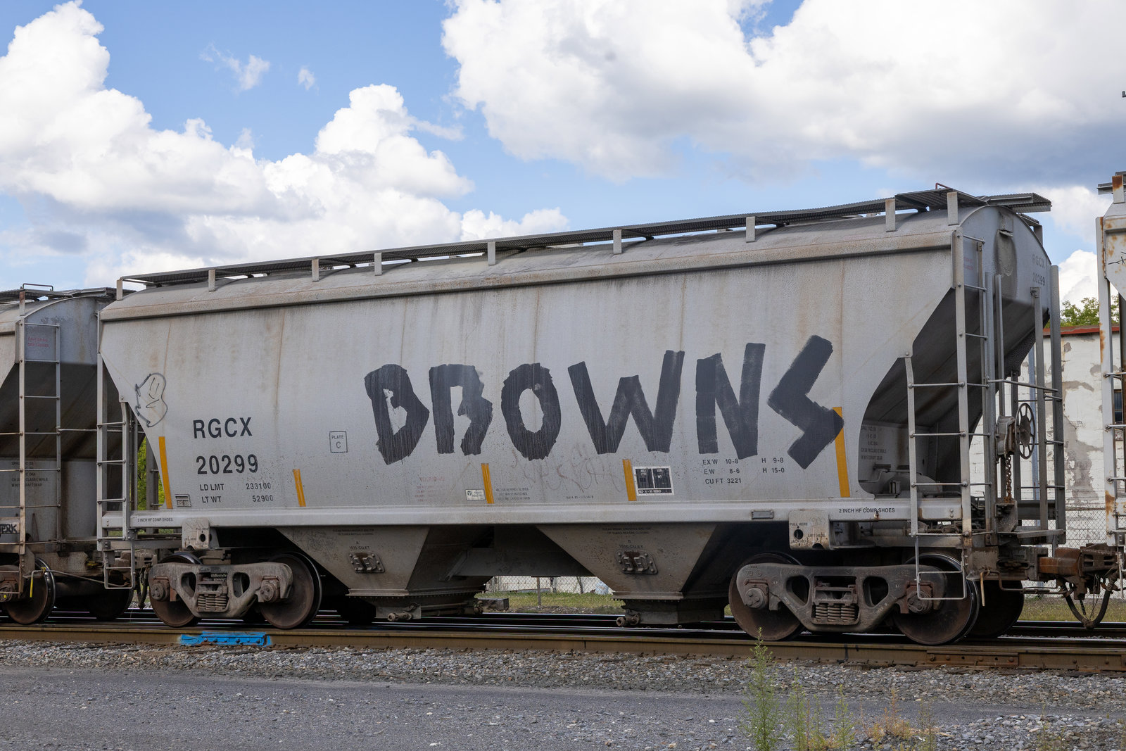 RGCX 20299