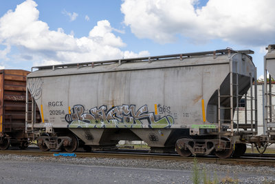 RGCX 20264