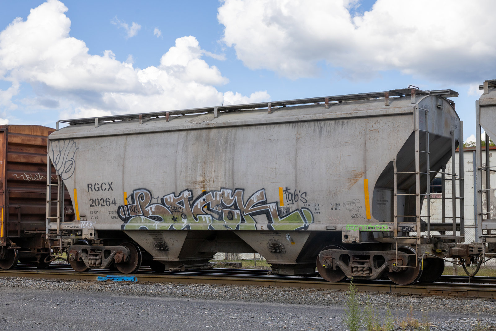 RGCX 20264