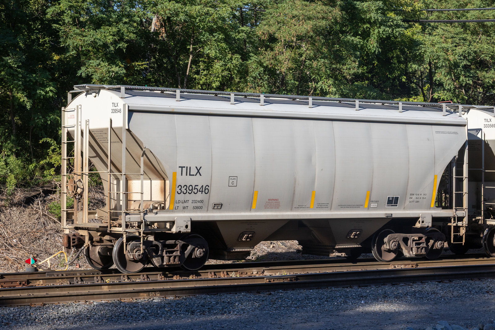 TILX 339546