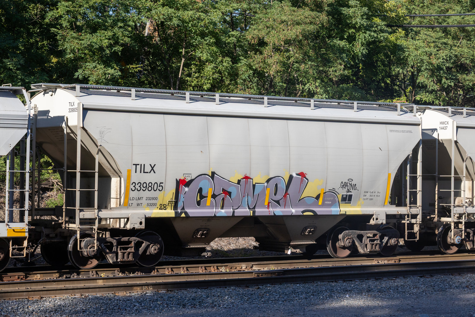 TILX 339805