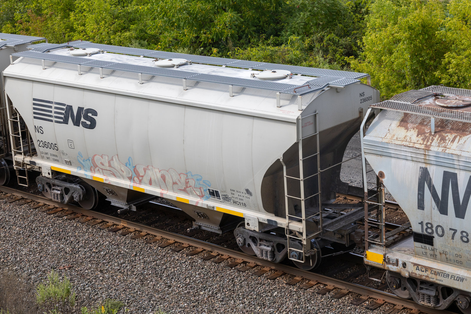 NS 236005