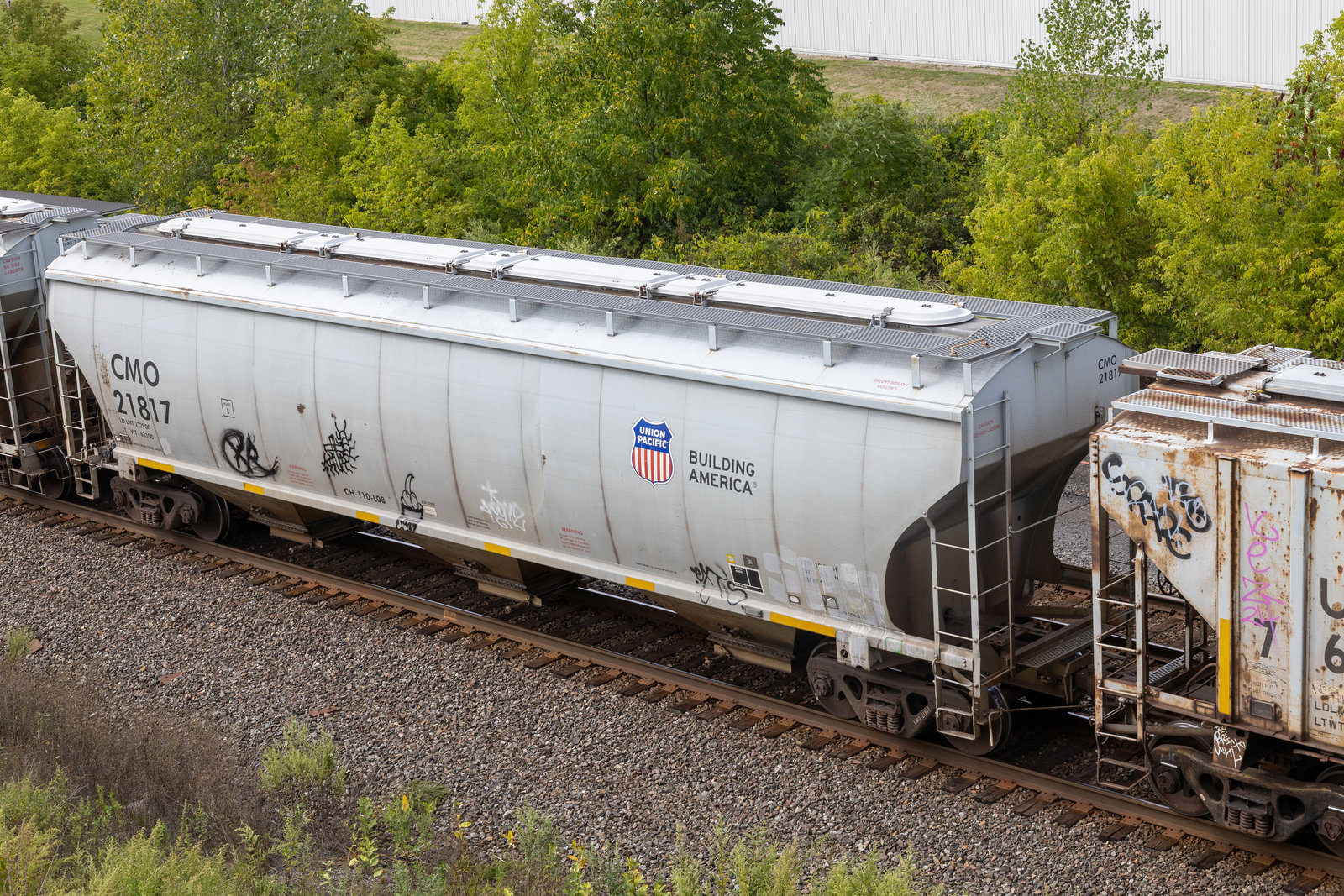 CMO 21817