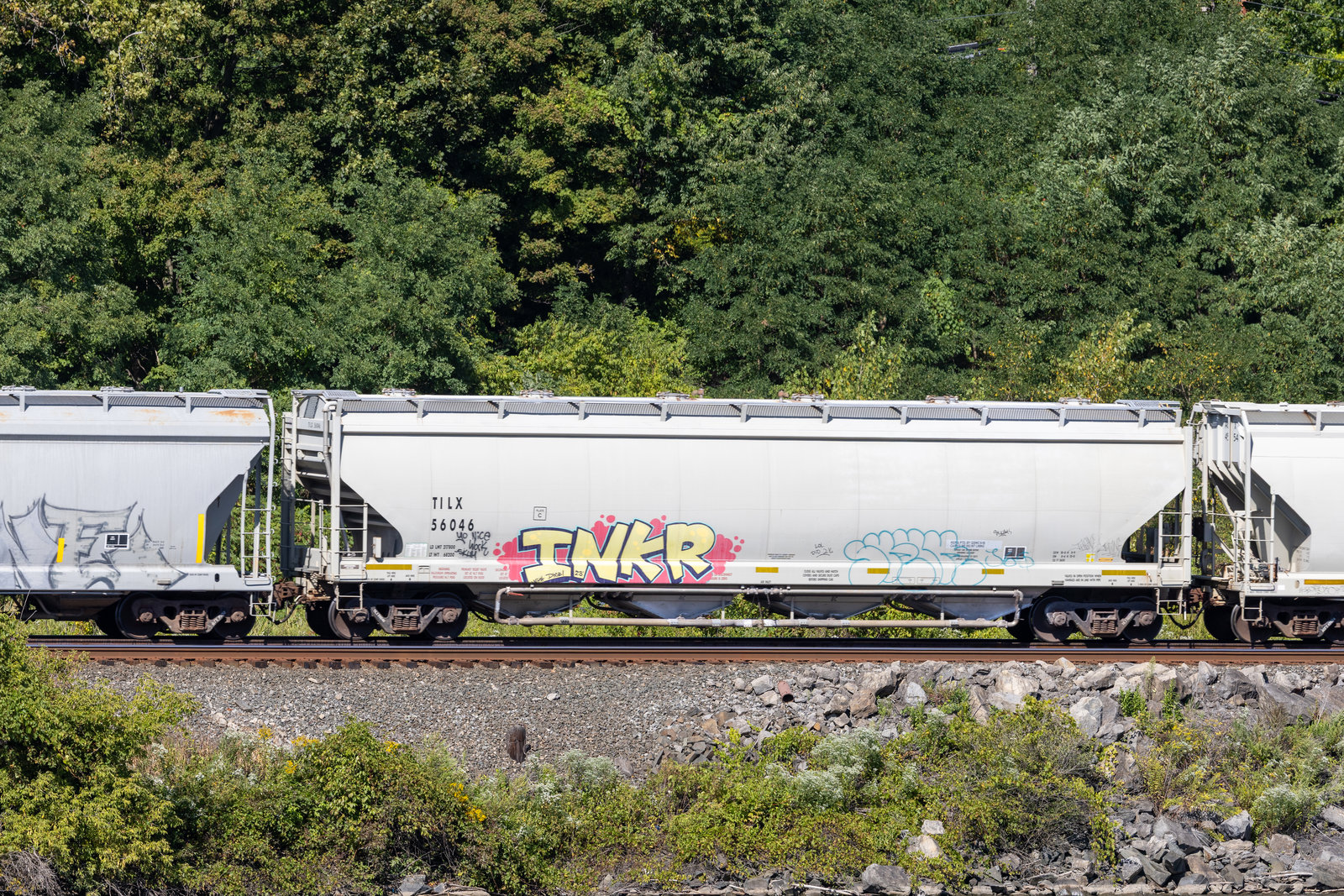 TILX 56046