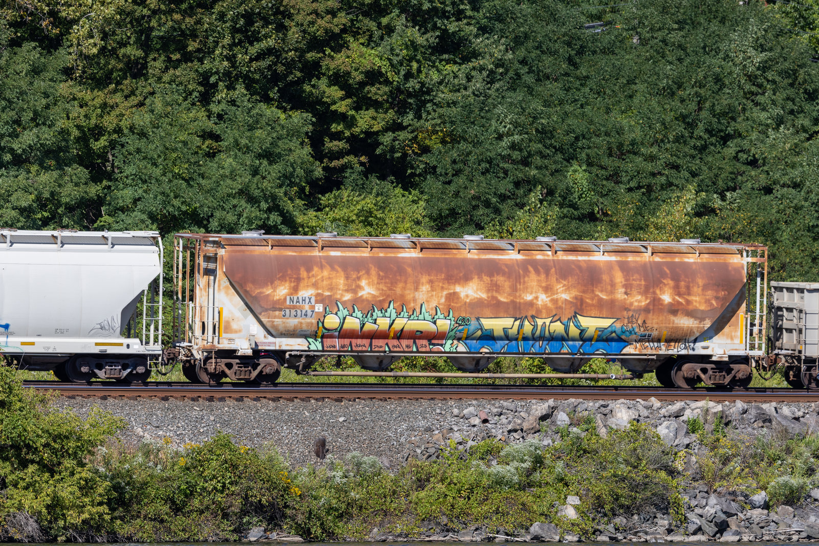 NAHX 313147
