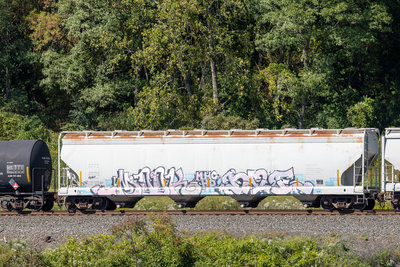 ACFX 41098