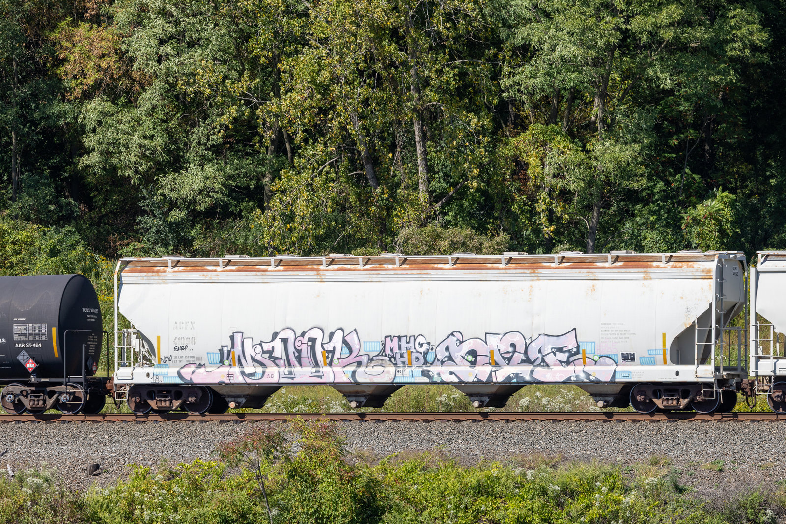 ACFX 41098