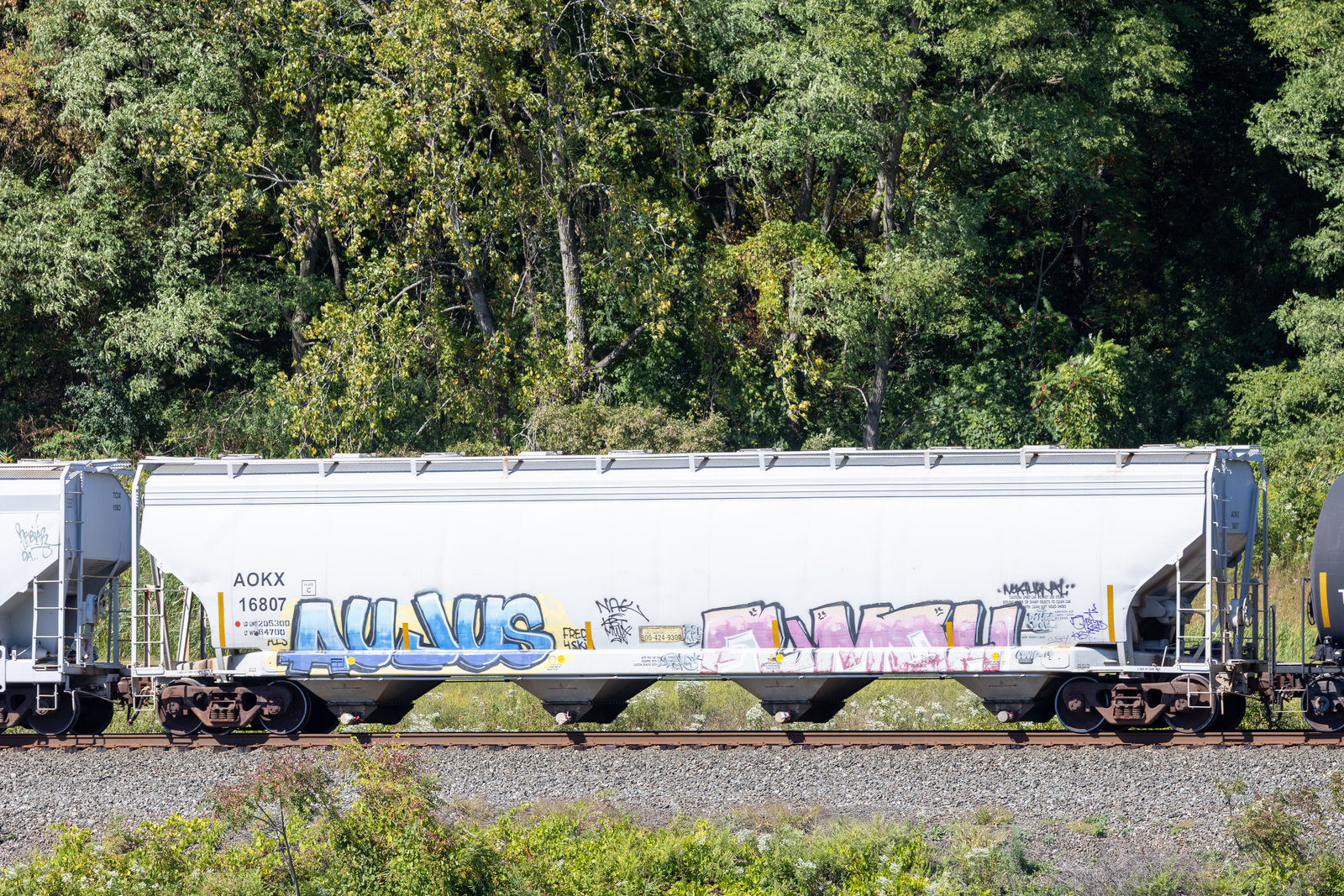 AOKX 16807