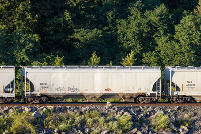 CEFX 355441
