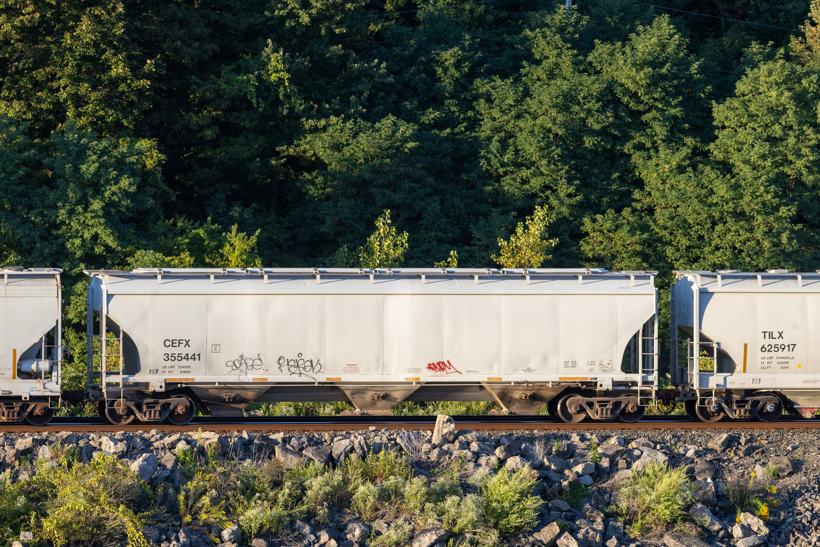 CEFX 355441