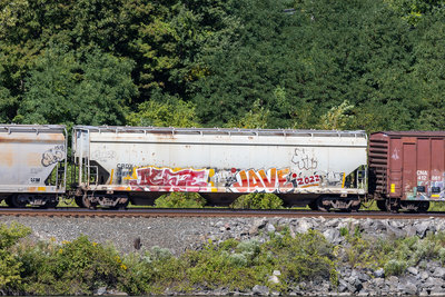 CRDX 14016
