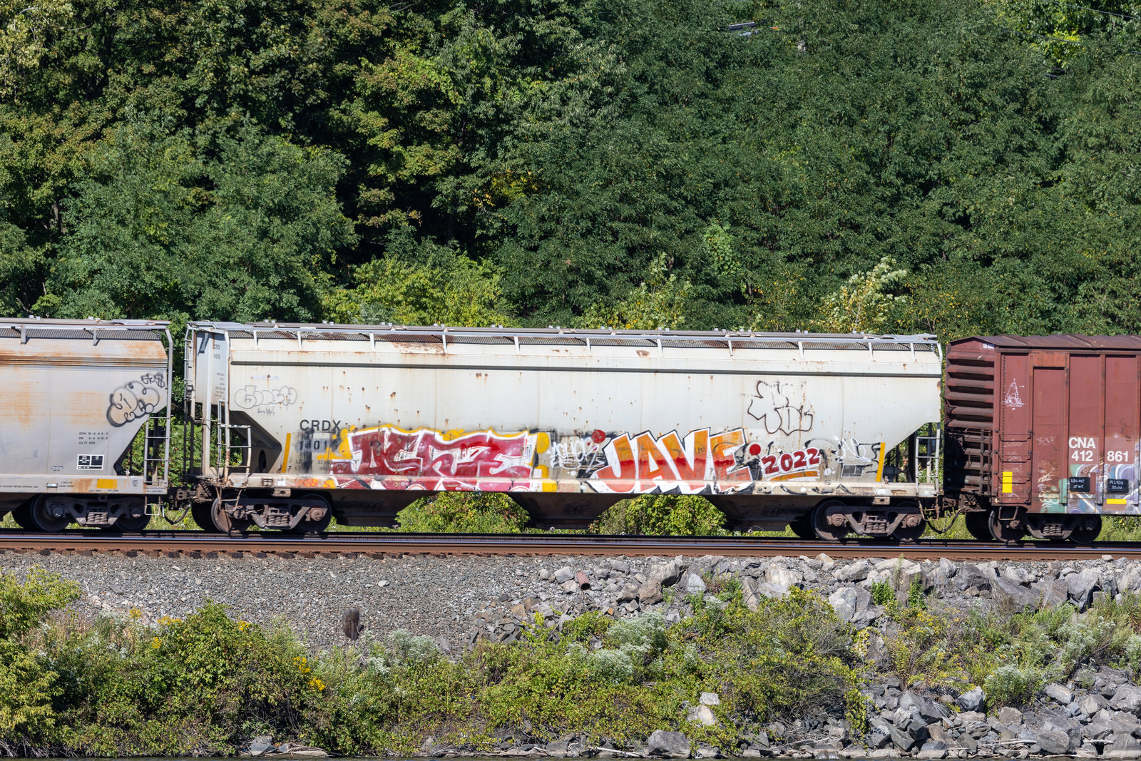 CRDX 14016