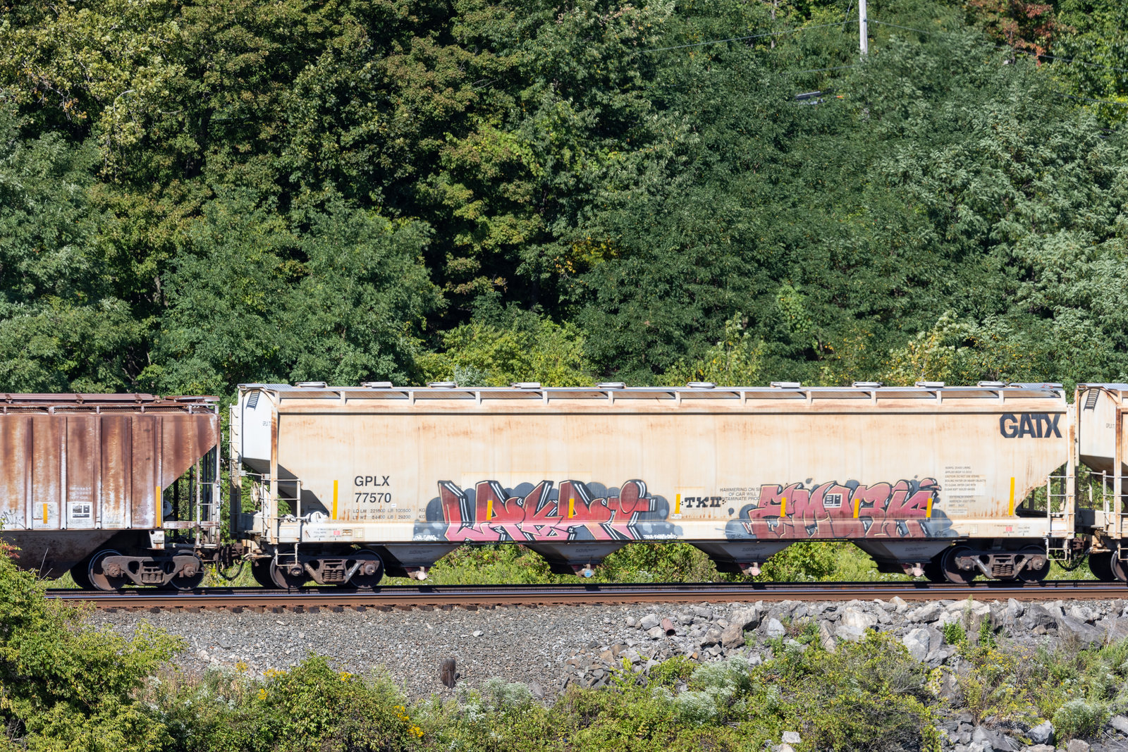 GPLX 77570