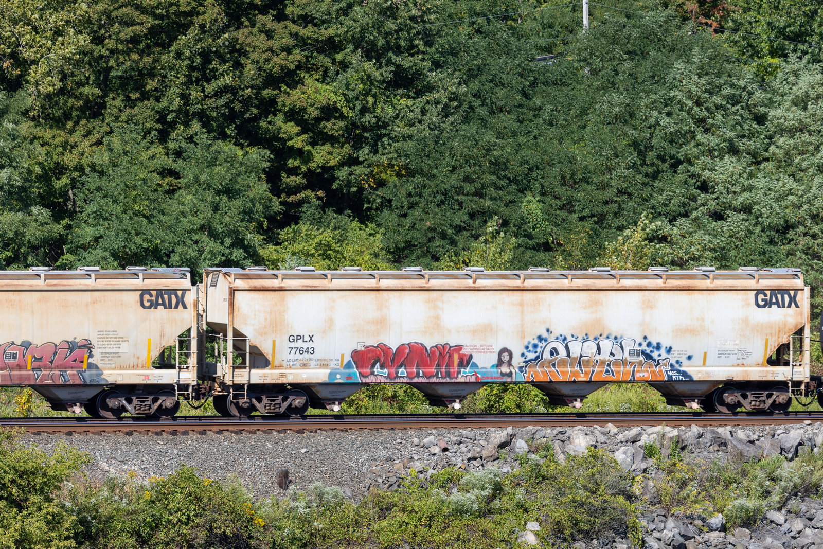 GPLX 77643