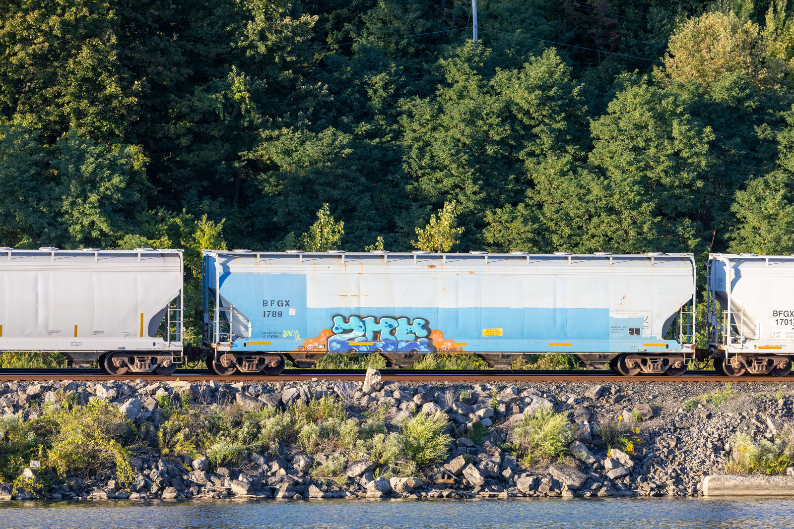 BFGX 1789