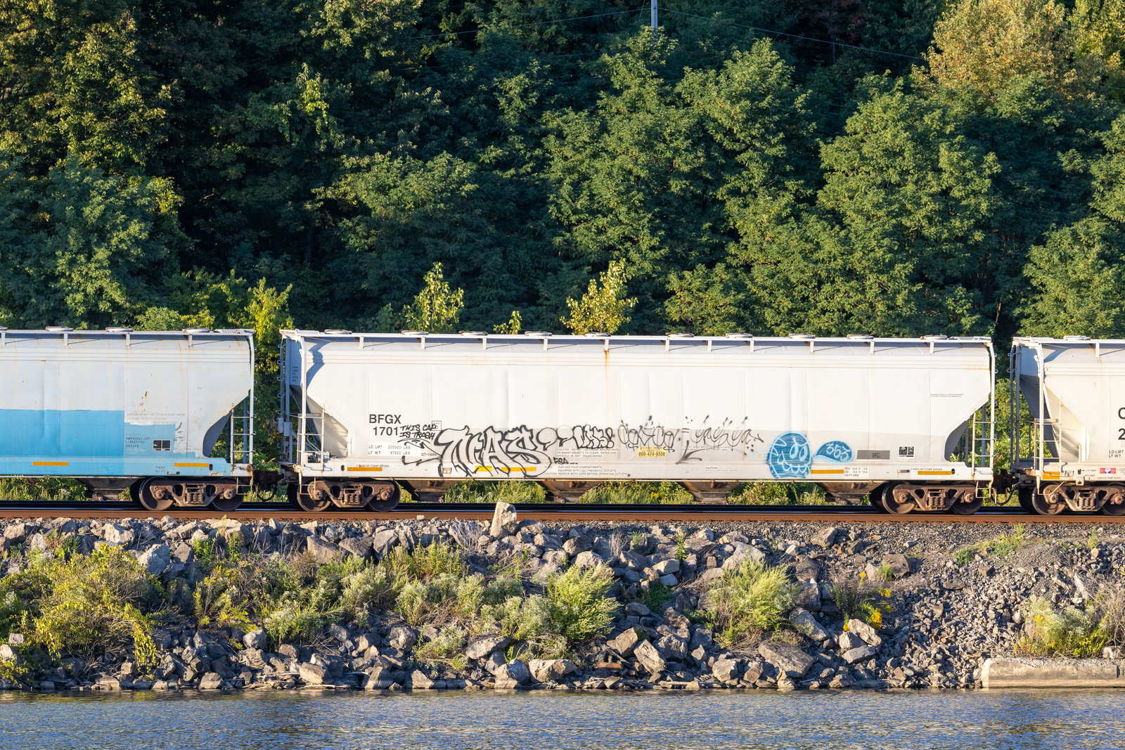 BFGX 1701