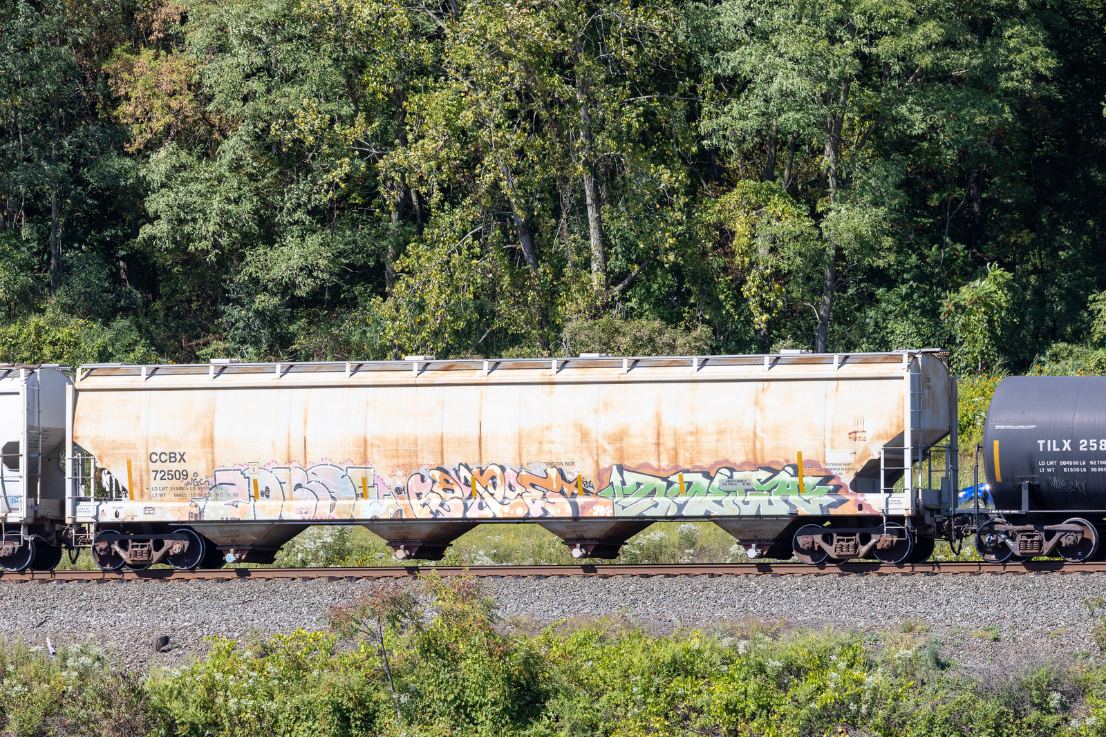 CCBX 72509
