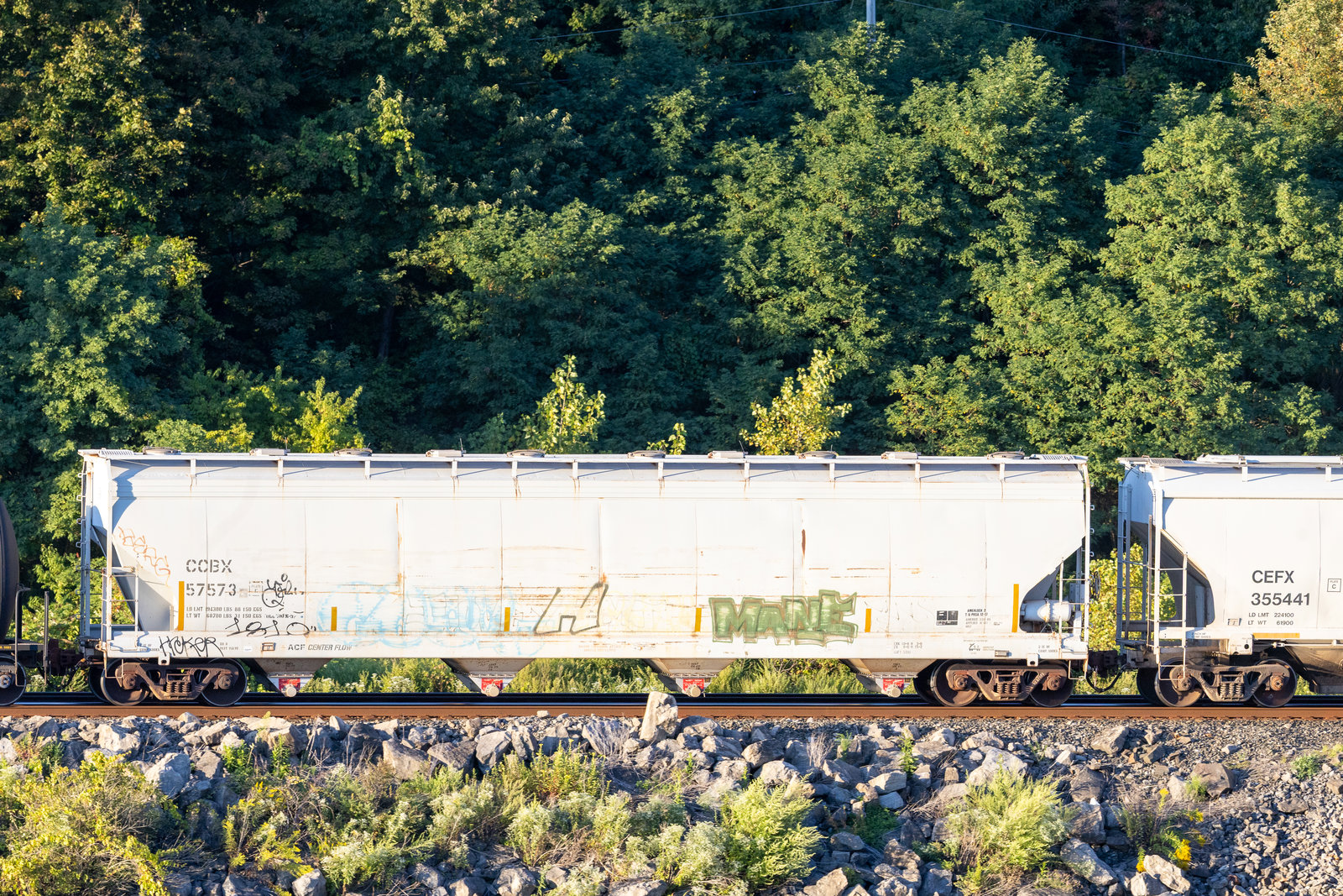 CCBX 57573
