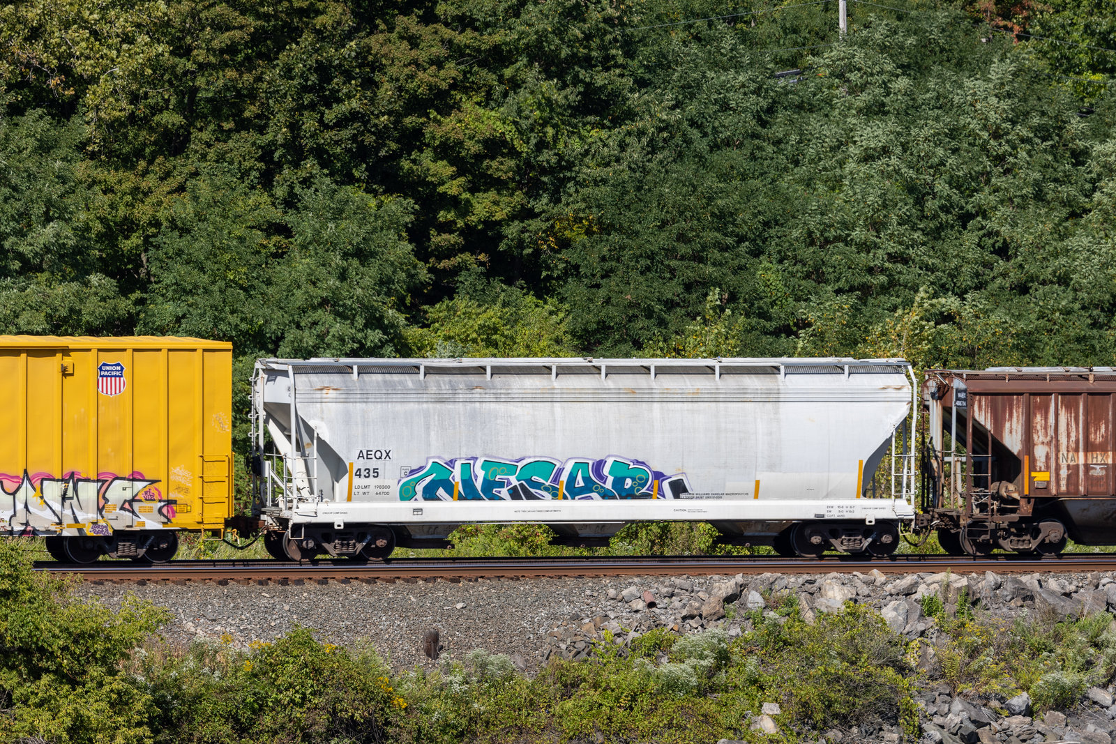 AEQX 435
