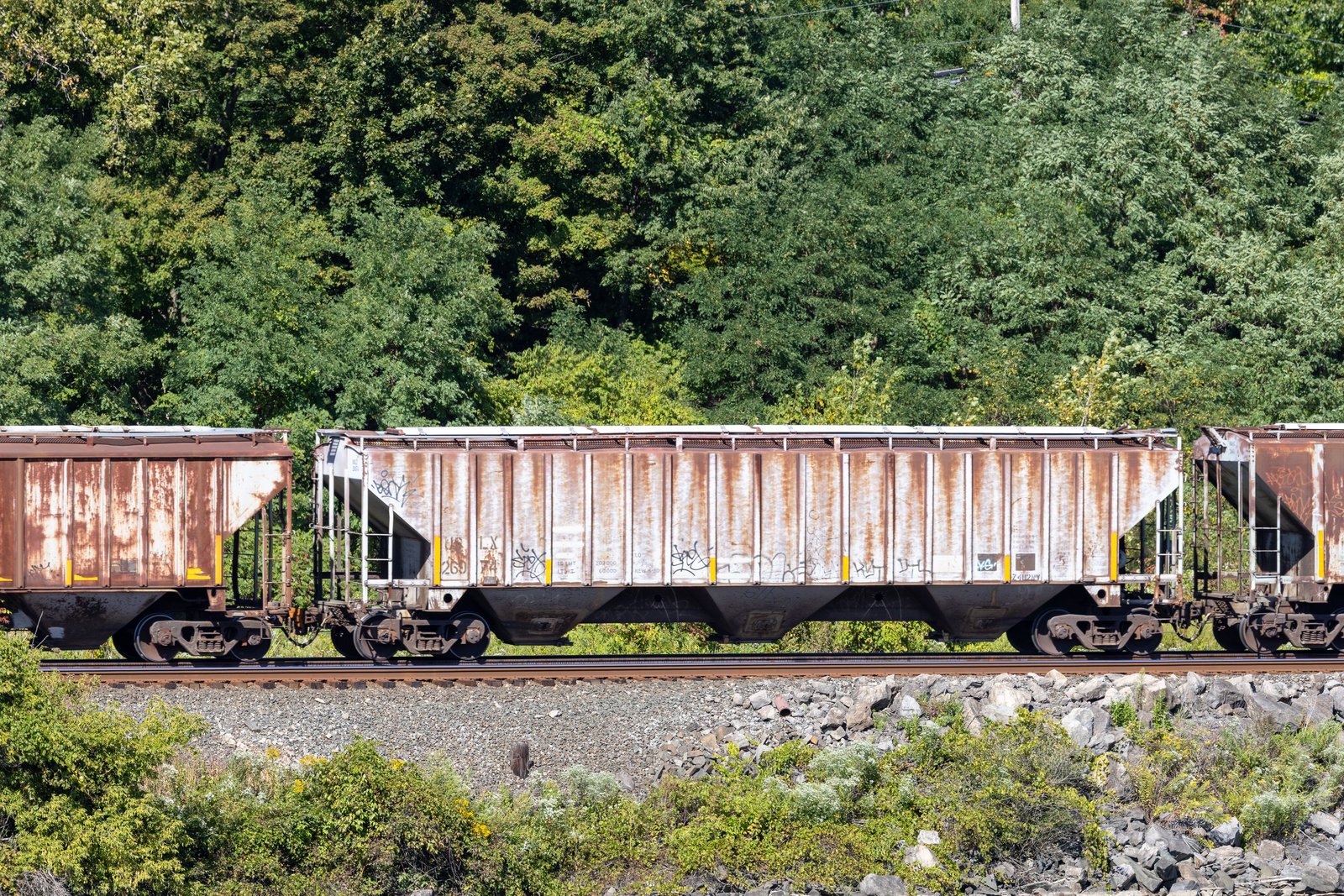 USLX 26974