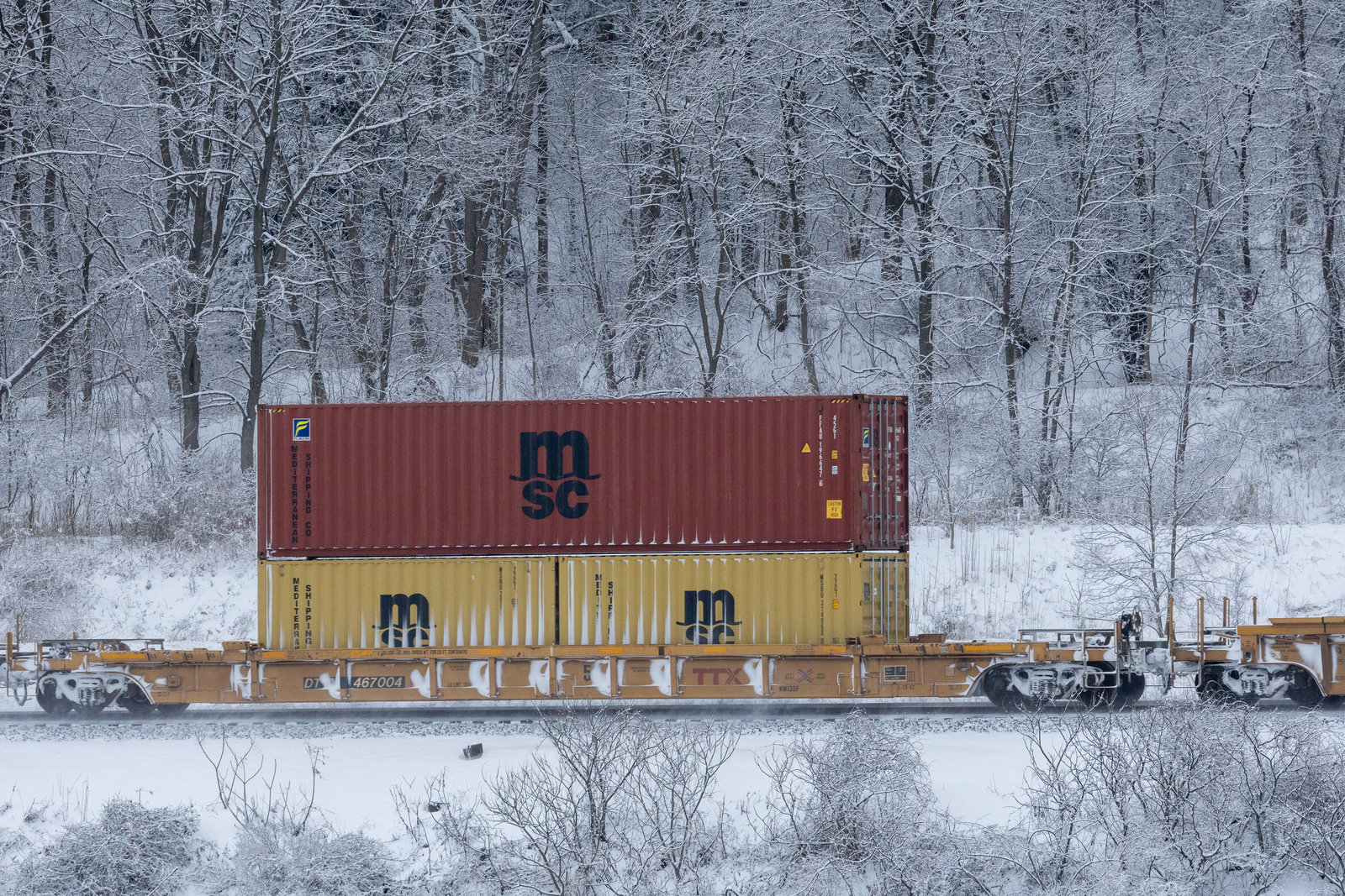 DTTX 467004