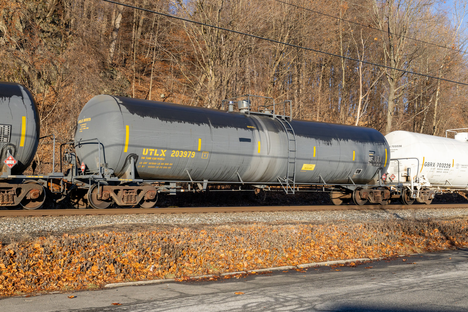 UTLX 203979