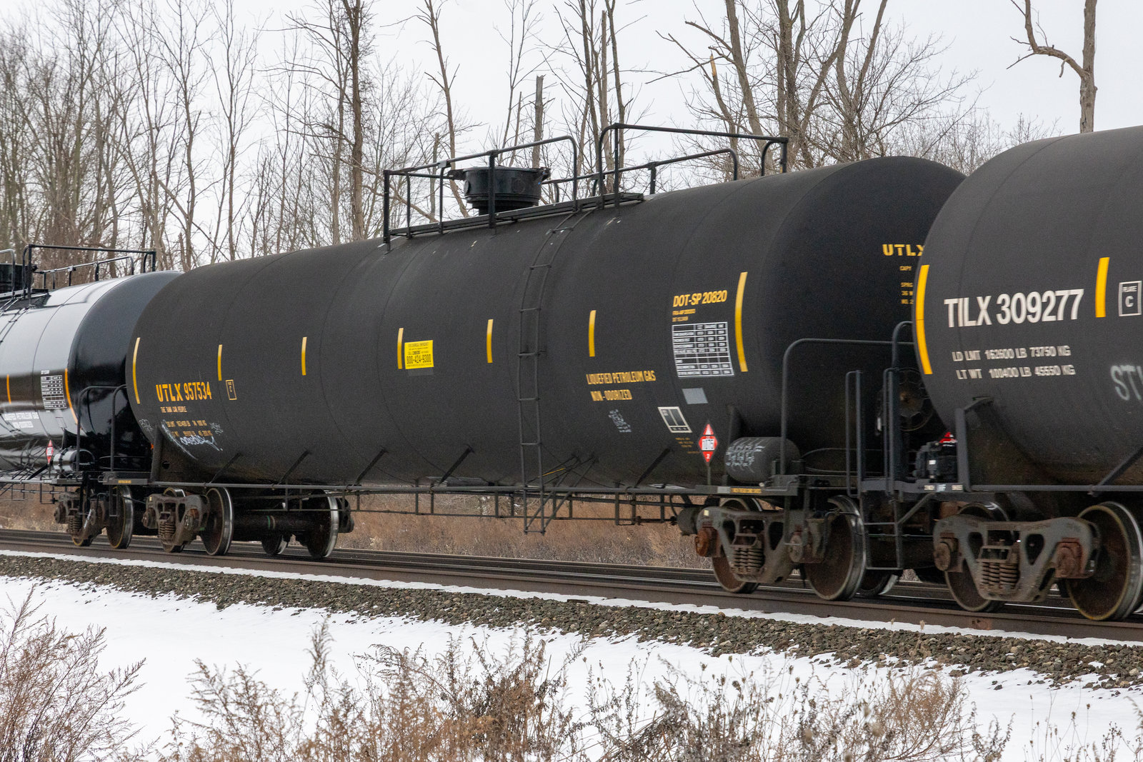 UTLX 957534