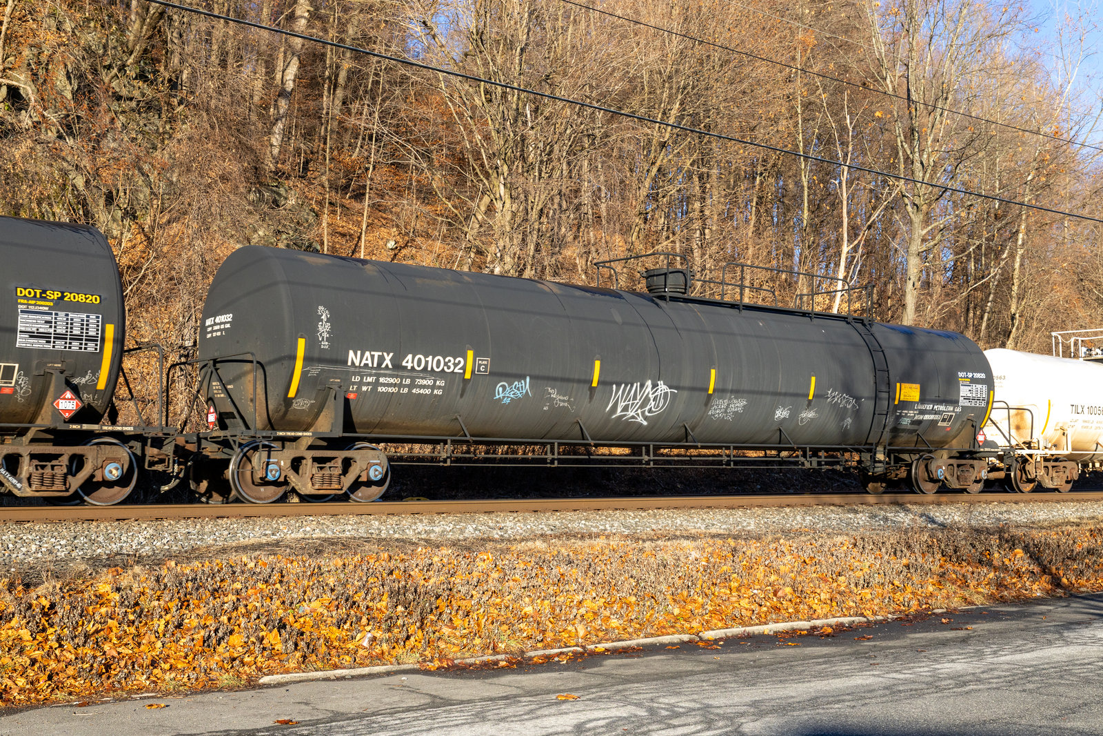NATX 401032