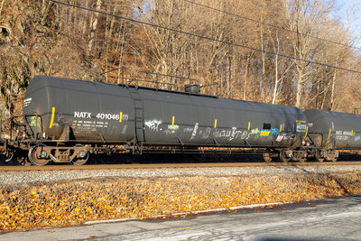NATX 401046