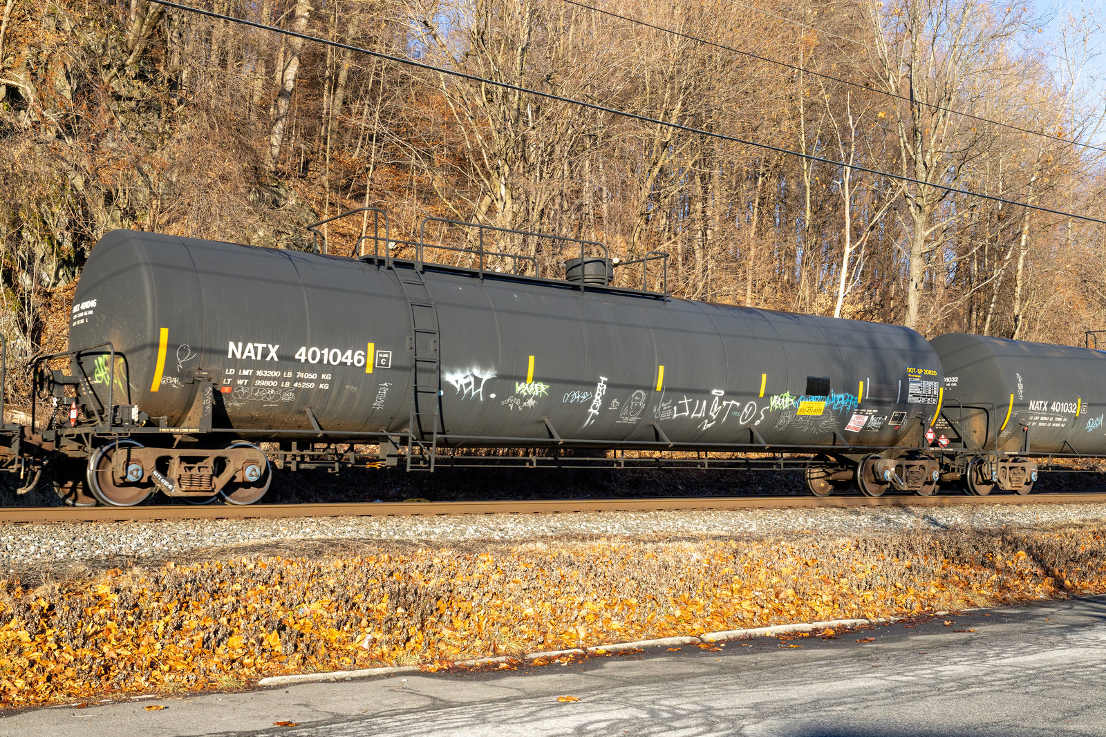NATX 401046