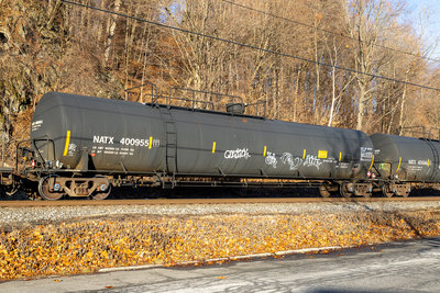 NATX 400955