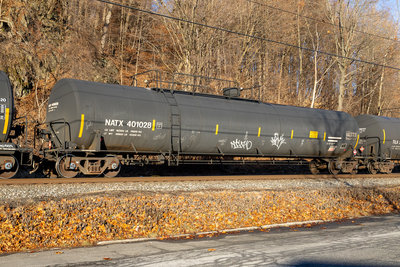 NATX 401028