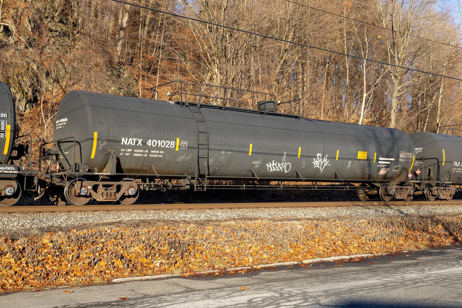 NATX 401028