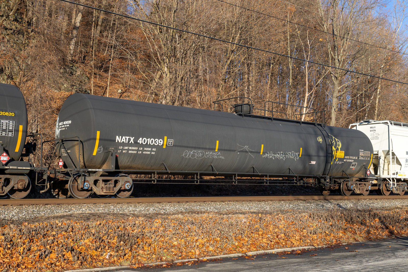 NATX 401039