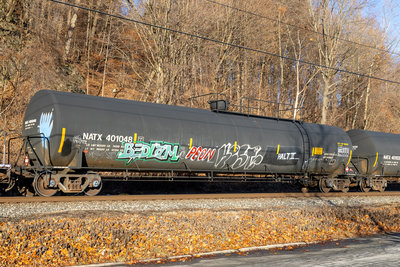 NATX 401048