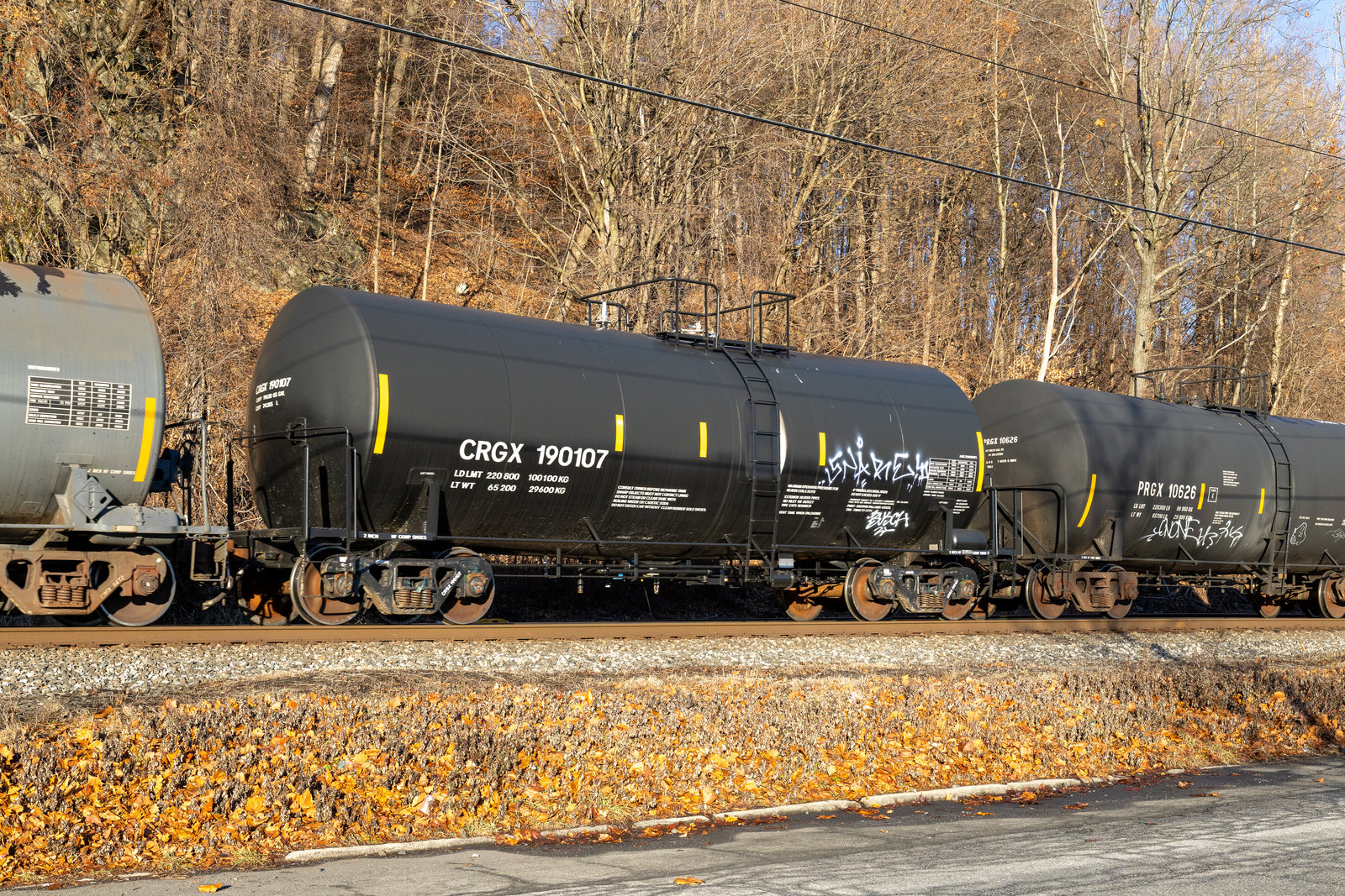 CRGX 190107