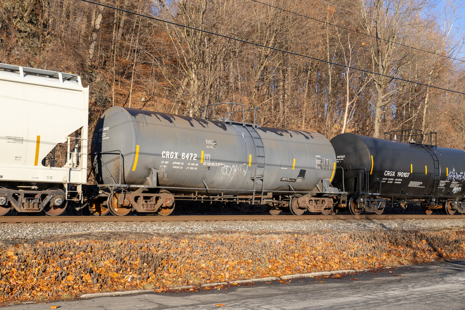 CRGX 6472