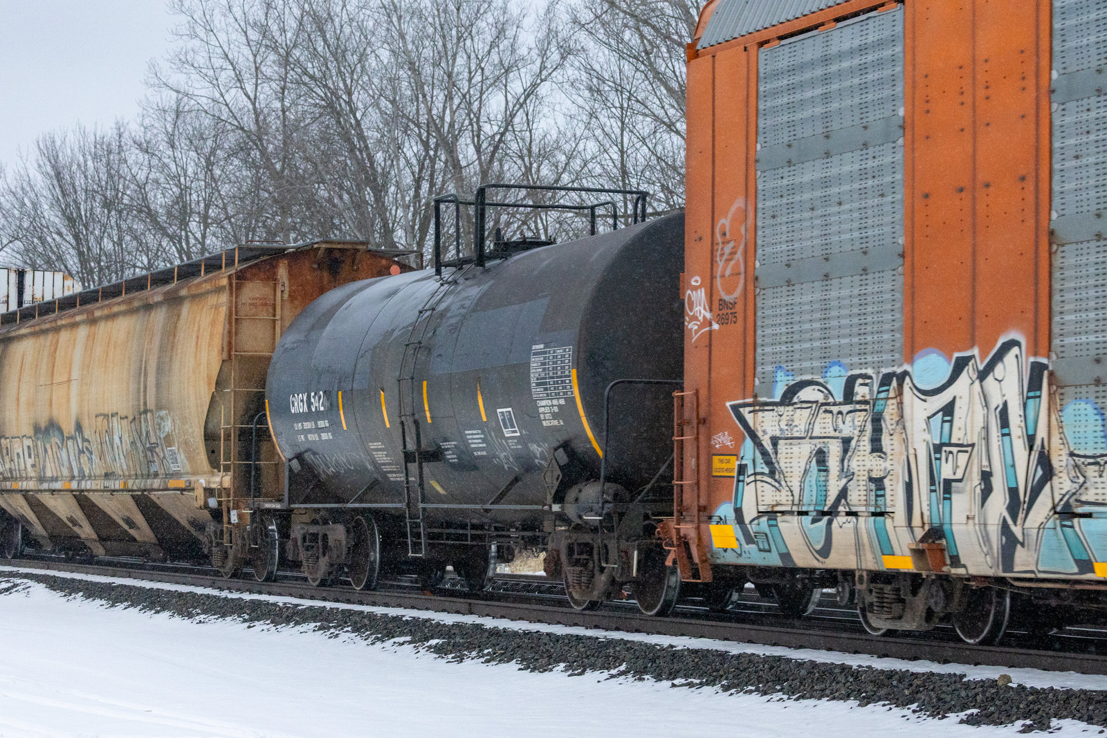 CRGX 542