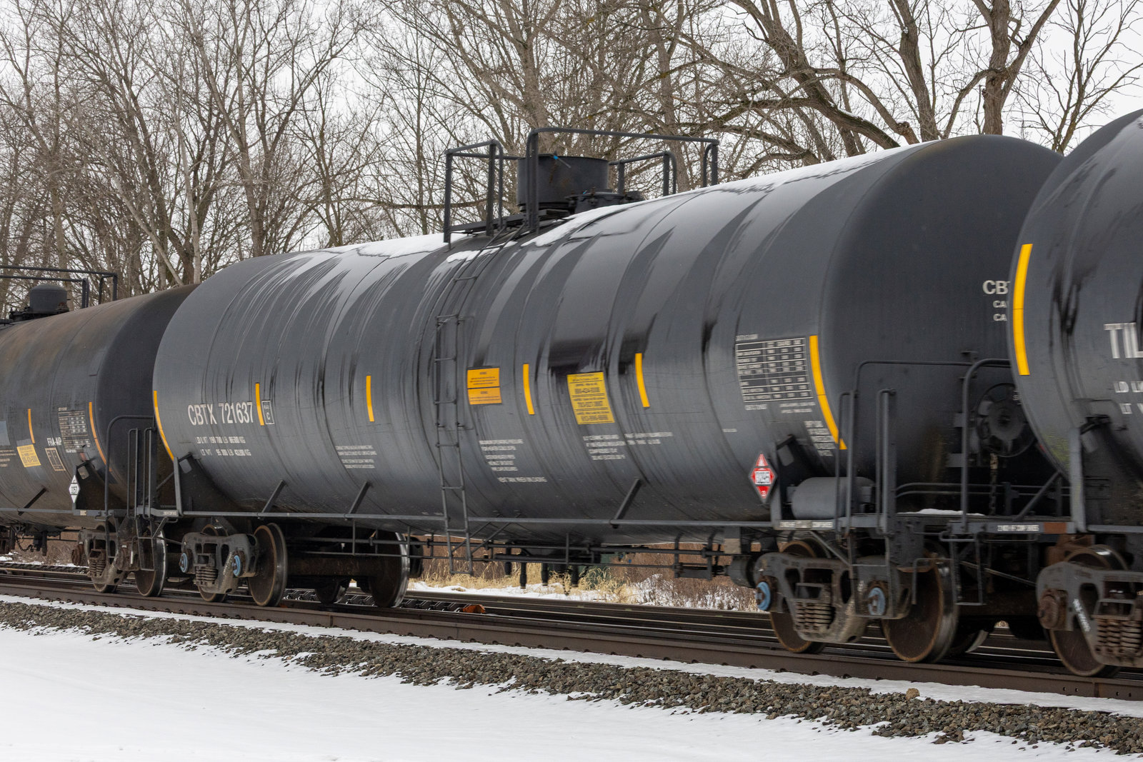CBTX 721637