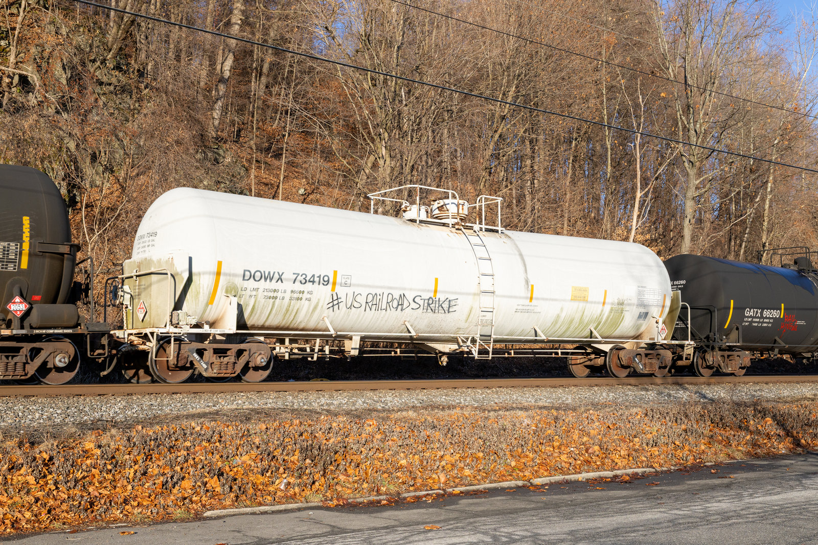 DOWX 73419