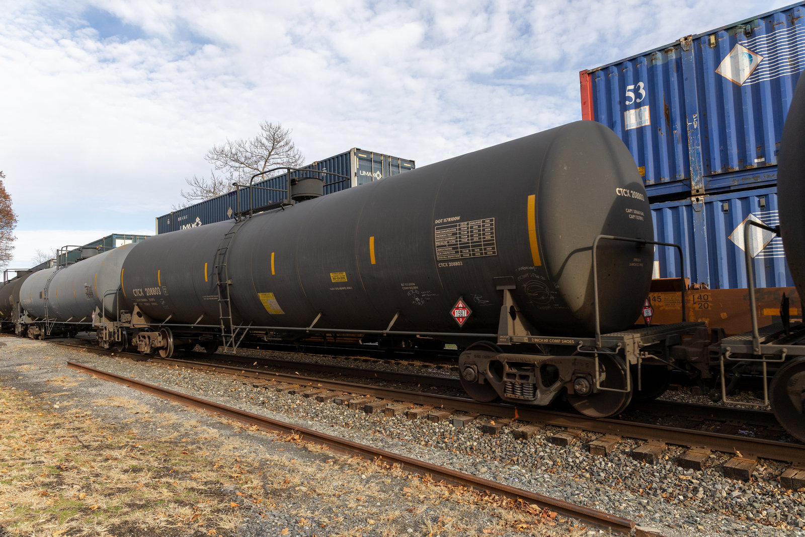 CTCX 208803