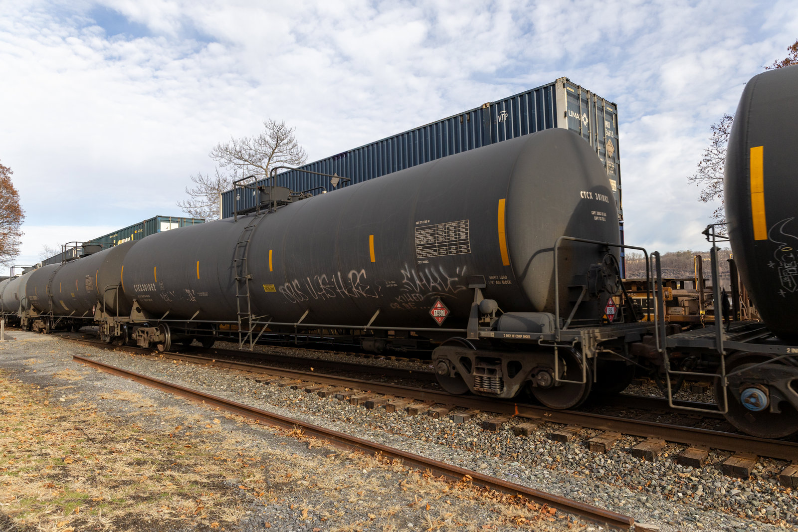 CTCX 301082