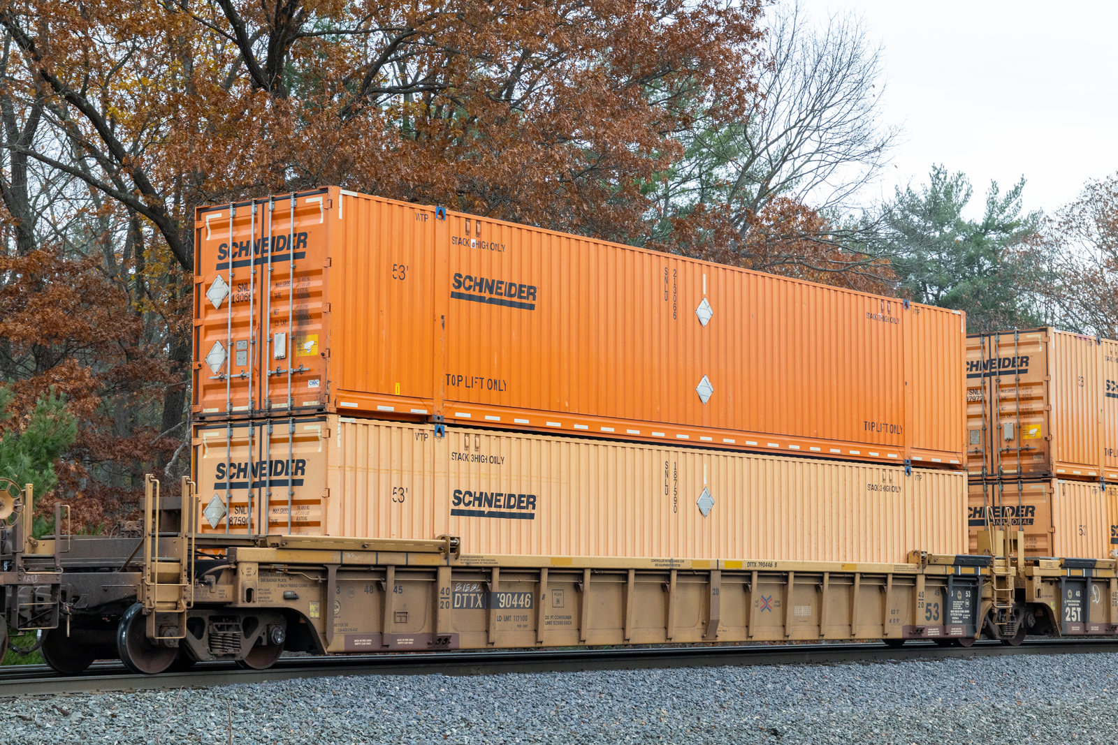 DTTX 790446B