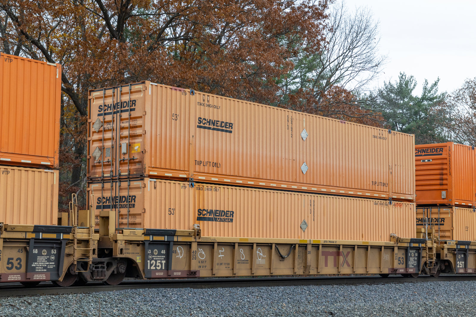 DTTX 790446C