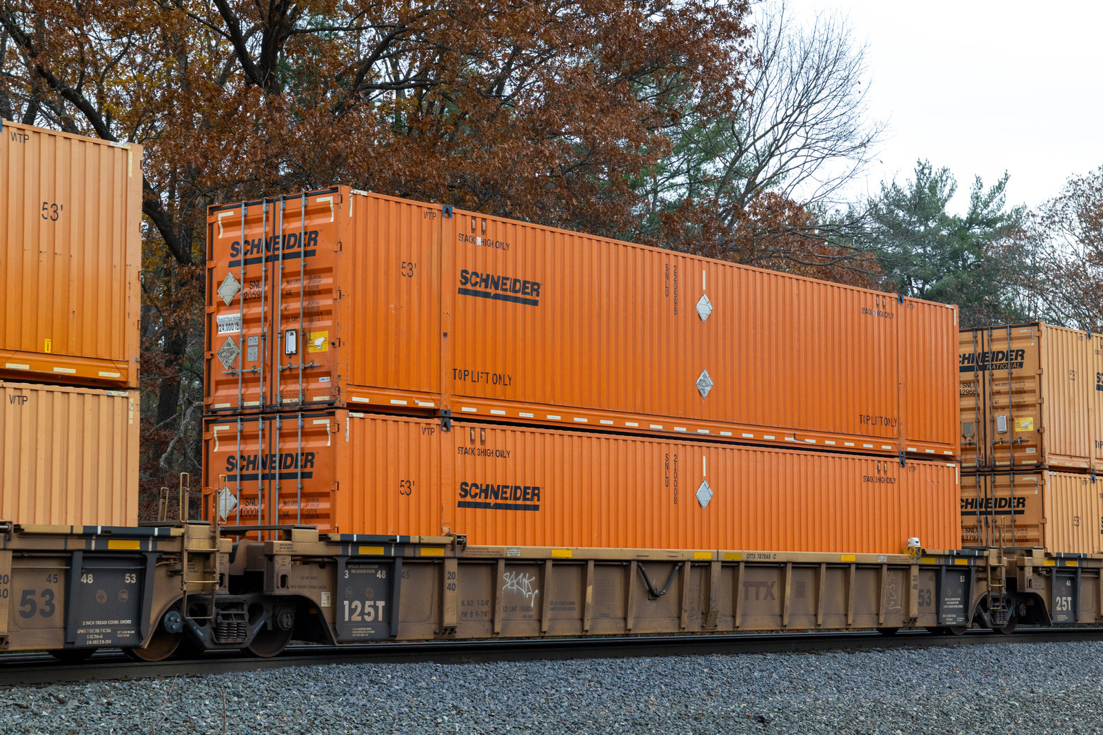 DTTX 787065C
