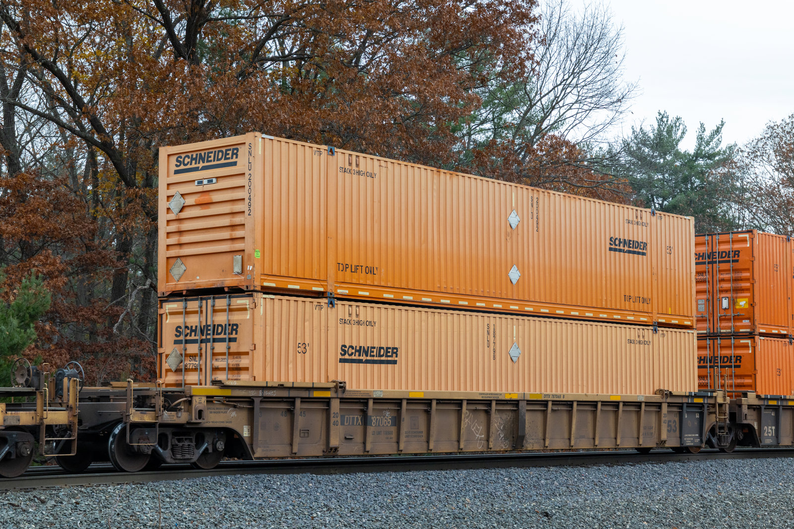 DTTX 787065B
