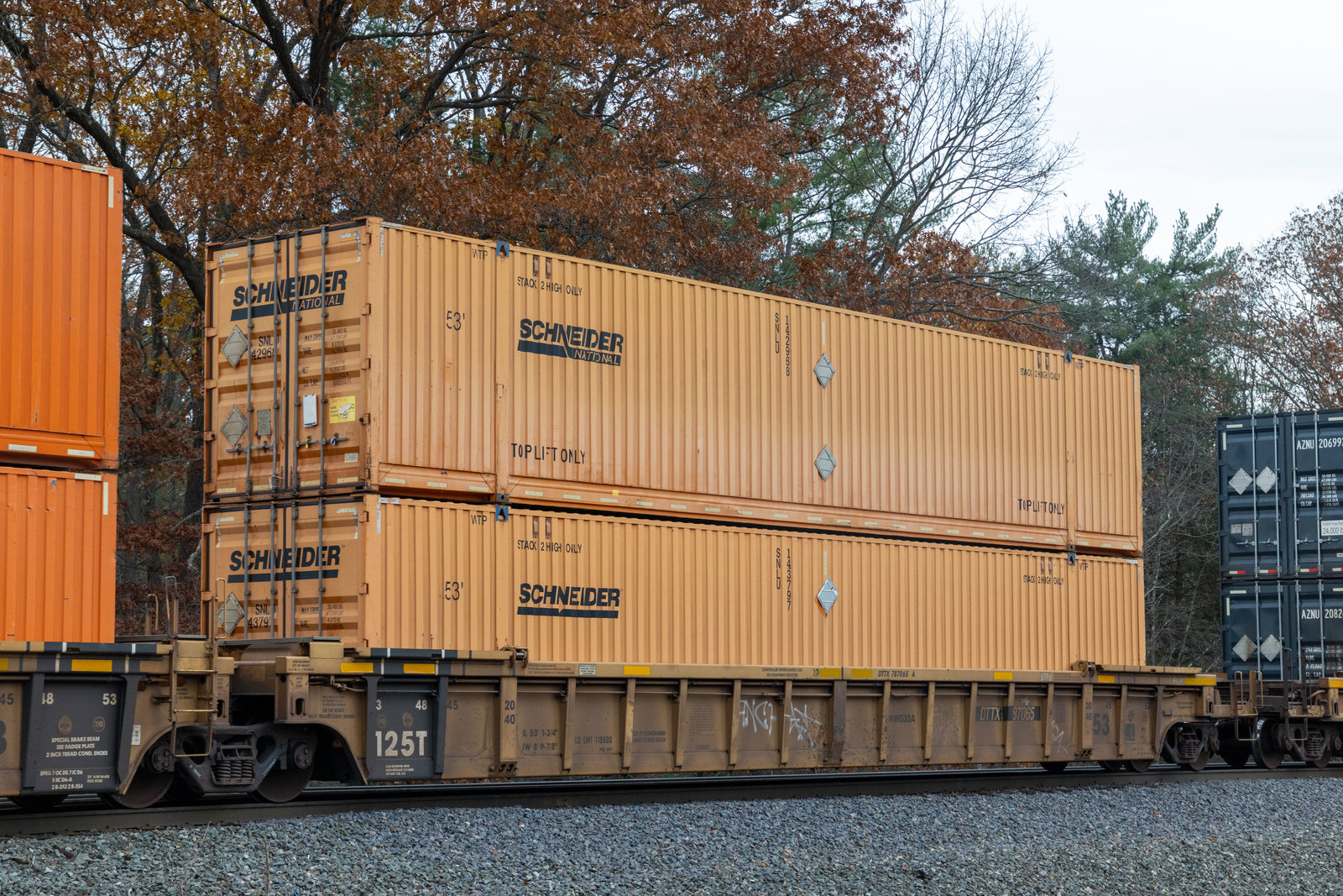 DTTX 787065A