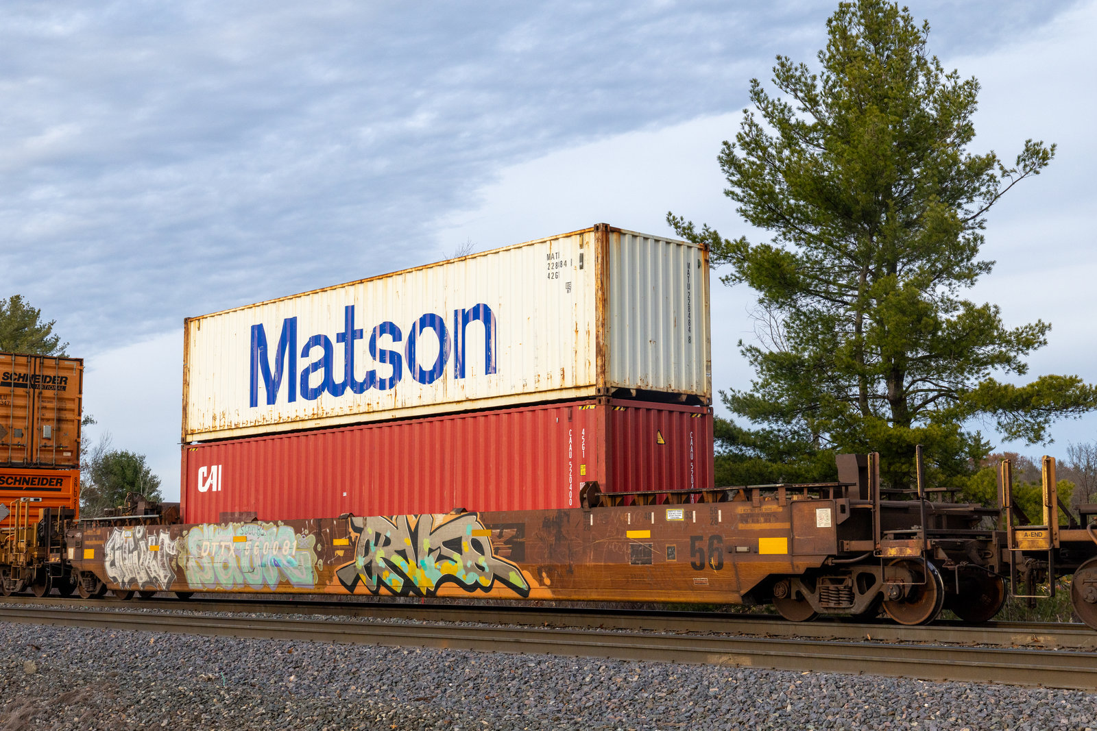 DTTX 560081