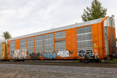 TTGX 696192